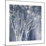 Navy Blue Birch Flipped-Julia Purinton-Mounted Art Print