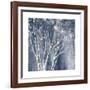 Navy Blue Birch Flipped-Julia Purinton-Framed Art Print