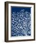 Navy Coral I-Sabine Berg-Framed Art Print