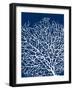 Navy Coral I-Sabine Berg-Framed Art Print