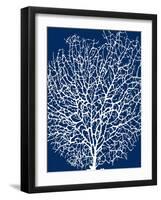 Navy Coral II-Sabine Berg-Framed Art Print