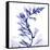 Navy Foxglove-Albert Koetsier-Framed Stretched Canvas