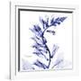 Navy Foxglove-Albert Koetsier-Framed Art Print