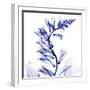 Navy Foxglove-Albert Koetsier-Framed Art Print