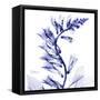 Navy Foxglove-Albert Koetsier-Framed Stretched Canvas