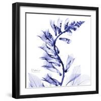 Navy Foxglove-Albert Koetsier-Framed Premium Giclee Print