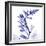 Navy Foxglove-Albert Koetsier-Framed Premium Giclee Print