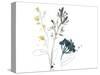 Navy Garden Inspiration I-June Vess-Stretched Canvas