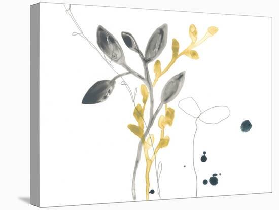 Navy Garden Inspiration III-June Vess-Stretched Canvas