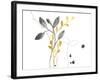 Navy Garden Inspiration III-June Vess-Framed Art Print