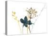 Navy Garden Inspiration IX-June Vess-Stretched Canvas