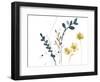 Navy Garden Inspiration VI-June Vess-Framed Art Print