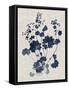 Navy & Linen Leaves II-Vision Studio-Framed Stretched Canvas