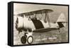 Navy N3N Trainer Biplane-null-Framed Stretched Canvas