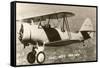Navy N3N Trainer Biplane-null-Framed Stretched Canvas