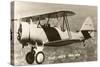 Navy N3N Trainer Biplane-null-Stretched Canvas