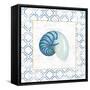 Navy Nautilus Shell on Newsprint with Gold-Emily Adams-Framed Stretched Canvas