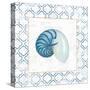 Navy Nautilus Shell on Newsprint with Gold-Emily Adams-Stretched Canvas