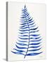 Navy Palm Leaf-Cat Coquillette-Stretched Canvas