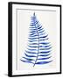 Navy Palm Leaf-Cat Coquillette-Framed Giclee Print