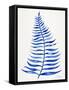 Navy Palm Leaf-Cat Coquillette-Framed Stretched Canvas