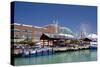 Navy Pier Along the Shores of Lake Michigan, Chicago, Illinois-Cindy Miller Hopkins-Stretched Canvas