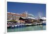 Navy Pier Along the Shores of Lake Michigan, Chicago, Illinois-Cindy Miller Hopkins-Framed Premium Photographic Print