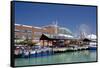 Navy Pier Along the Shores of Lake Michigan, Chicago, Illinois-Cindy Miller Hopkins-Framed Stretched Canvas