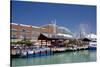 Navy Pier Along the Shores of Lake Michigan, Chicago, Illinois-Cindy Miller Hopkins-Stretched Canvas