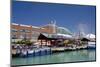 Navy Pier Along the Shores of Lake Michigan, Chicago, Illinois-Cindy Miller Hopkins-Mounted Photographic Print