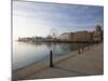 Navy Pier, Lake Michigan, Chicago, Illinois, United States of America, North America-Amanda Hall-Mounted Photographic Print