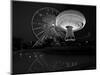 Navy Pier Nights Chicago BW-Steve Gadomski-Mounted Photographic Print