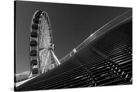 Navy Pier Wheel Chicago B W-Steve Gadomski-Stretched Canvas