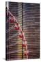 Navy Pier Wheel Chicago-Steve Gadomski-Stretched Canvas