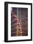 Navy Pier Wheel Chicago-Steve Gadomski-Framed Photographic Print