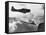 Navy Plane Preparing to Dive Bomb-null-Framed Stretched Canvas