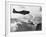 Navy Plane Preparing to Dive Bomb-null-Framed Photographic Print