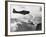 Navy Plane Preparing to Dive Bomb-null-Framed Photographic Print