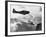 Navy Plane Preparing to Dive Bomb-null-Framed Photographic Print