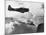 Navy Plane Preparing to Dive Bomb-null-Mounted Photographic Print