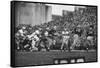 Navy Quaterback, George Welsh, Reaching Out to Complete Pass, During Army-Navy Game-John Dominis-Framed Stretched Canvas
