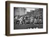 Navy Quaterback, George Welsh, Reaching Out to Complete Pass, During Army-Navy Game-John Dominis-Framed Photographic Print