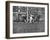 Navy Quaterback, George Welsh, Running, Grim-Faced, During Army-Navy Game-John Dominis-Framed Photographic Print