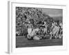 Navy Quaterback, George Welsh, Trying to Recover from Being Tackled, During Army-Navy Game-John Dominis-Framed Photographic Print