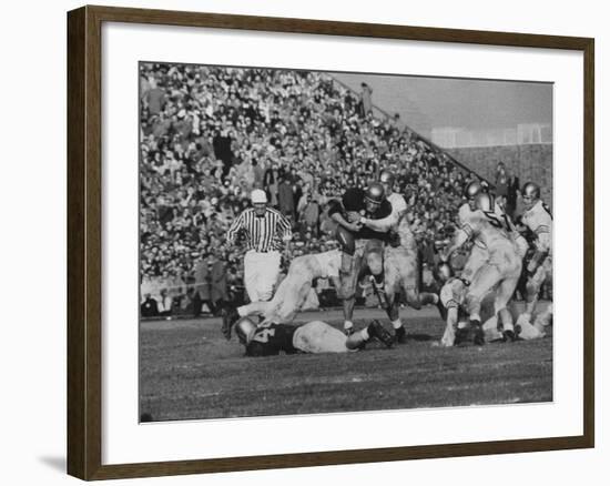 Navy Quaterback, George Welsh, Trying to Recover from Being Tackled, During Army-Navy Game-John Dominis-Framed Photographic Print