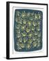 Navy Queen Anne Lace-Cat Coquillette-Framed Giclee Print