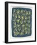 Navy Queen Anne Lace-Cat Coquillette-Framed Giclee Print