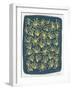 Navy Queen Anne Lace-Cat Coquillette-Framed Giclee Print