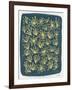 Navy Queen Anne Lace-Cat Coquillette-Framed Giclee Print