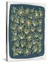 Navy Queen Anne Lace-Cat Coquillette-Stretched Canvas